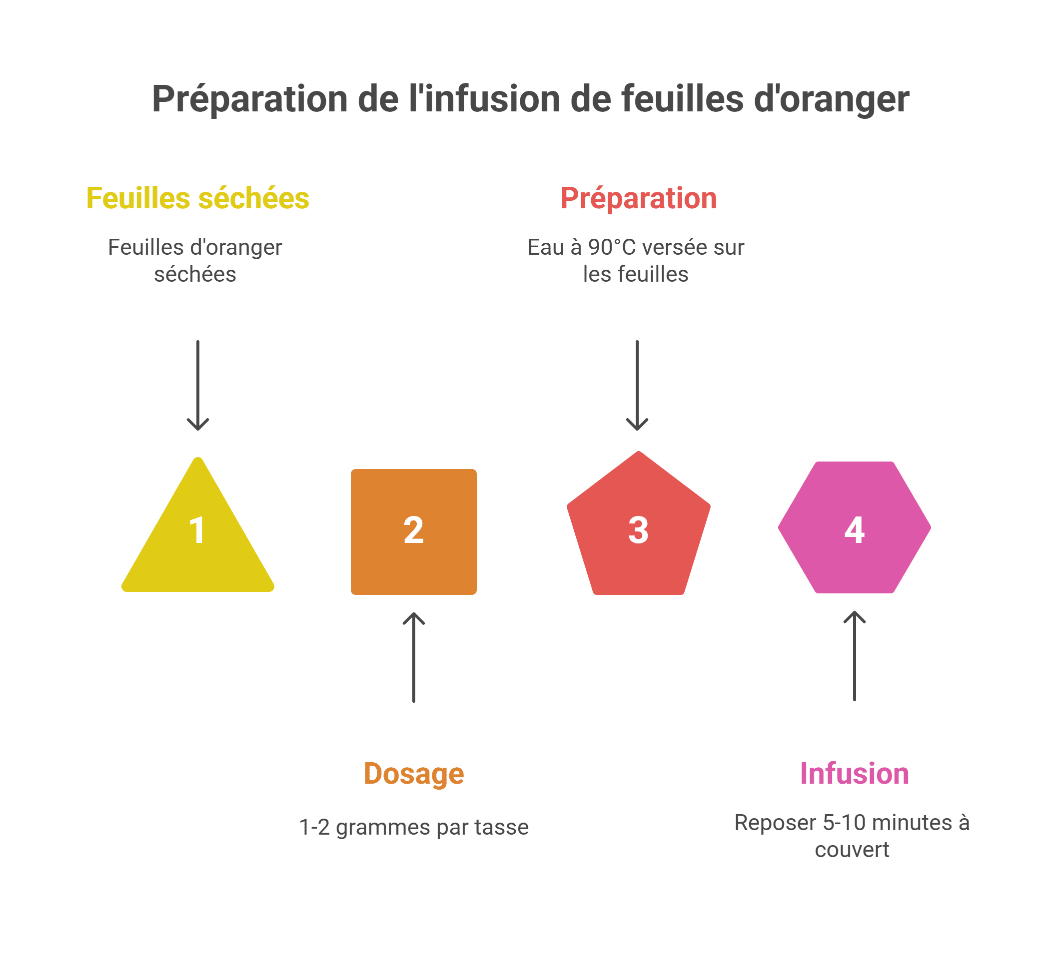 La feuille d'oranger : souffle de sérénité à portée de main